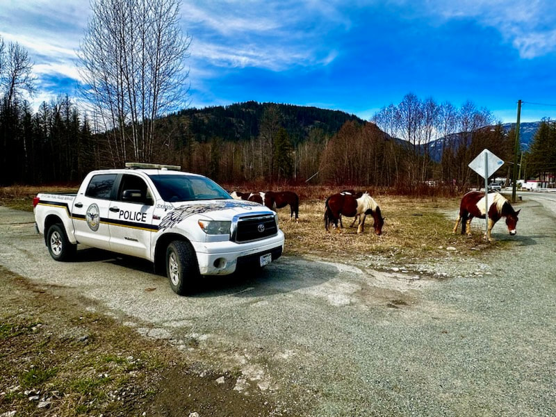 2024-03-27-geoff-on-patrol-main-street